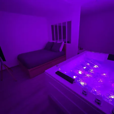 Avec Jacuzzi Proche Du Centre ستراسبورغ