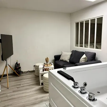 Avec Jacuzzi Proche Du Centre *