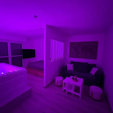 Avec Jacuzzi Proche Du Centre *